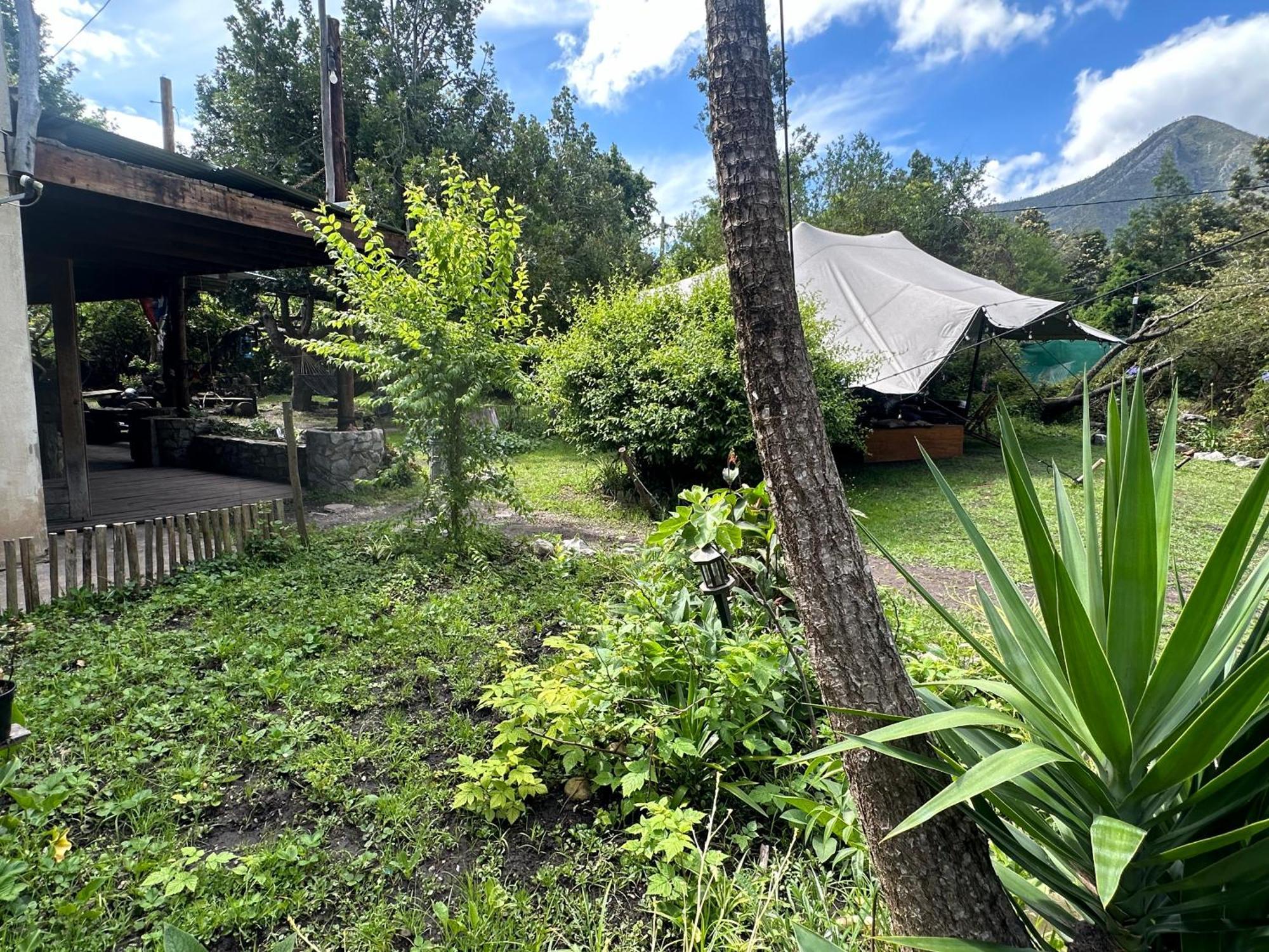 Stormsriver Backpackers Dijembe Stormsrivier Exteriör bild