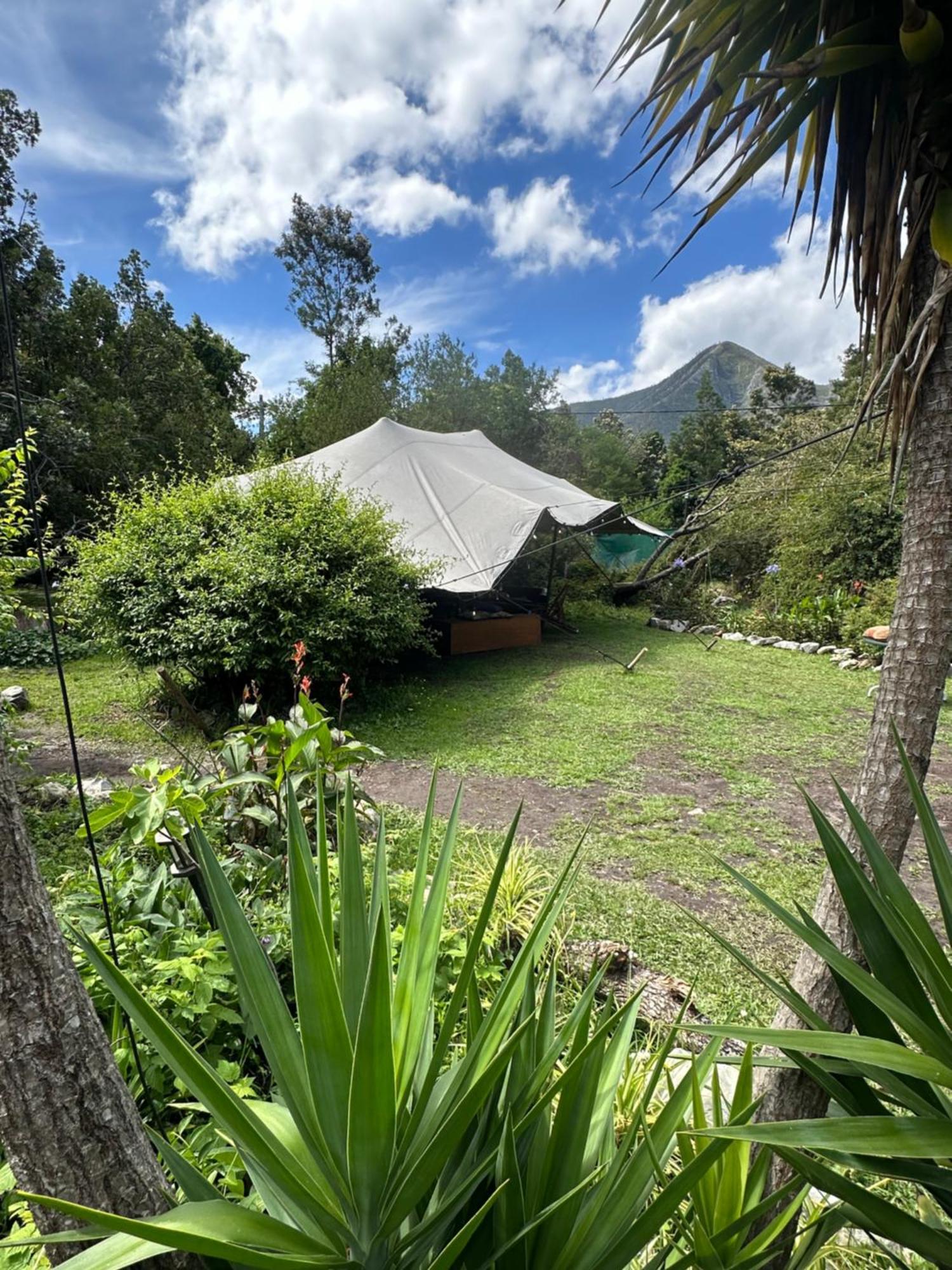 Stormsriver Backpackers Dijembe Stormsrivier Exteriör bild