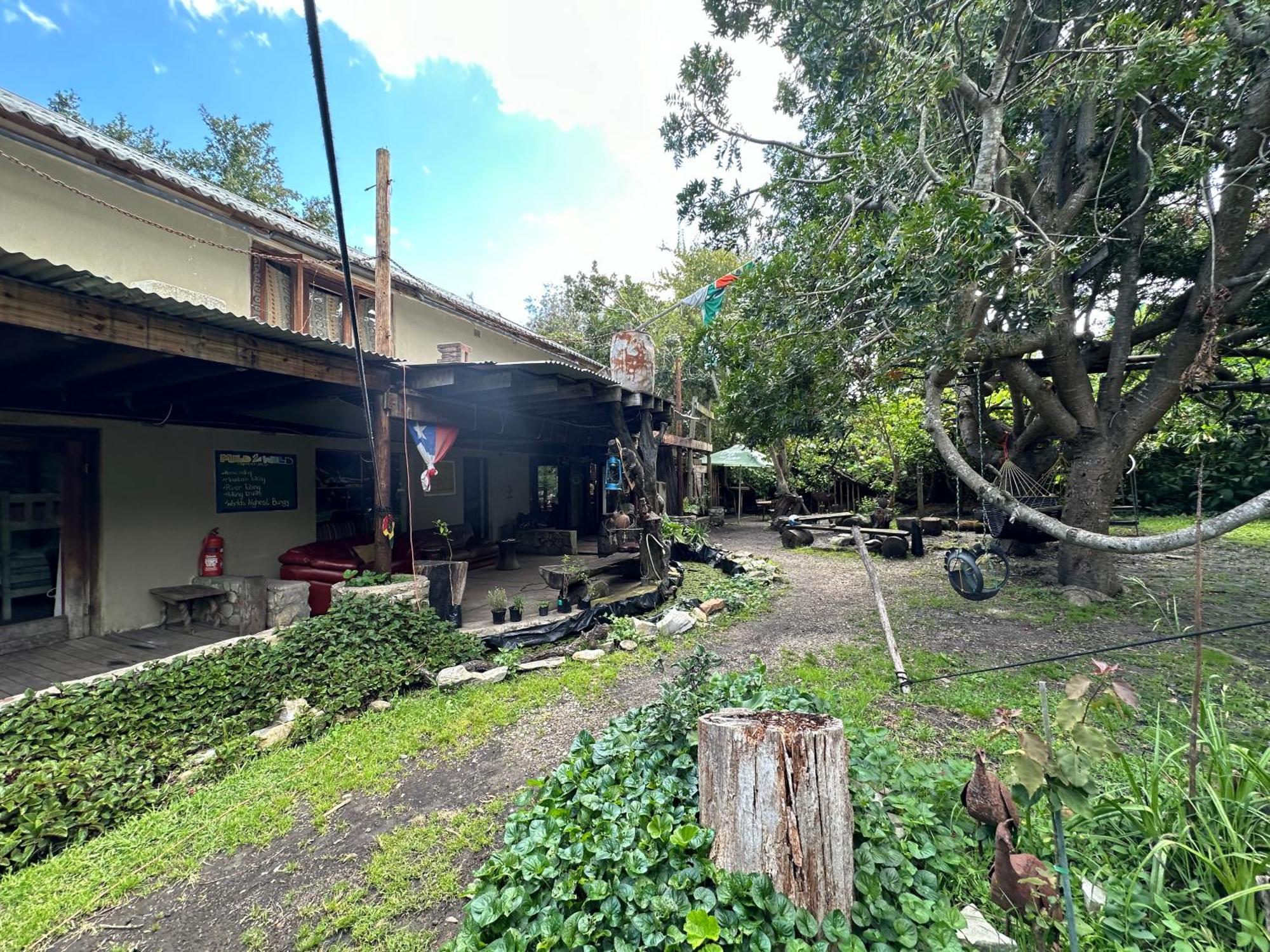 Stormsriver Backpackers Dijembe Stormsrivier Exteriör bild